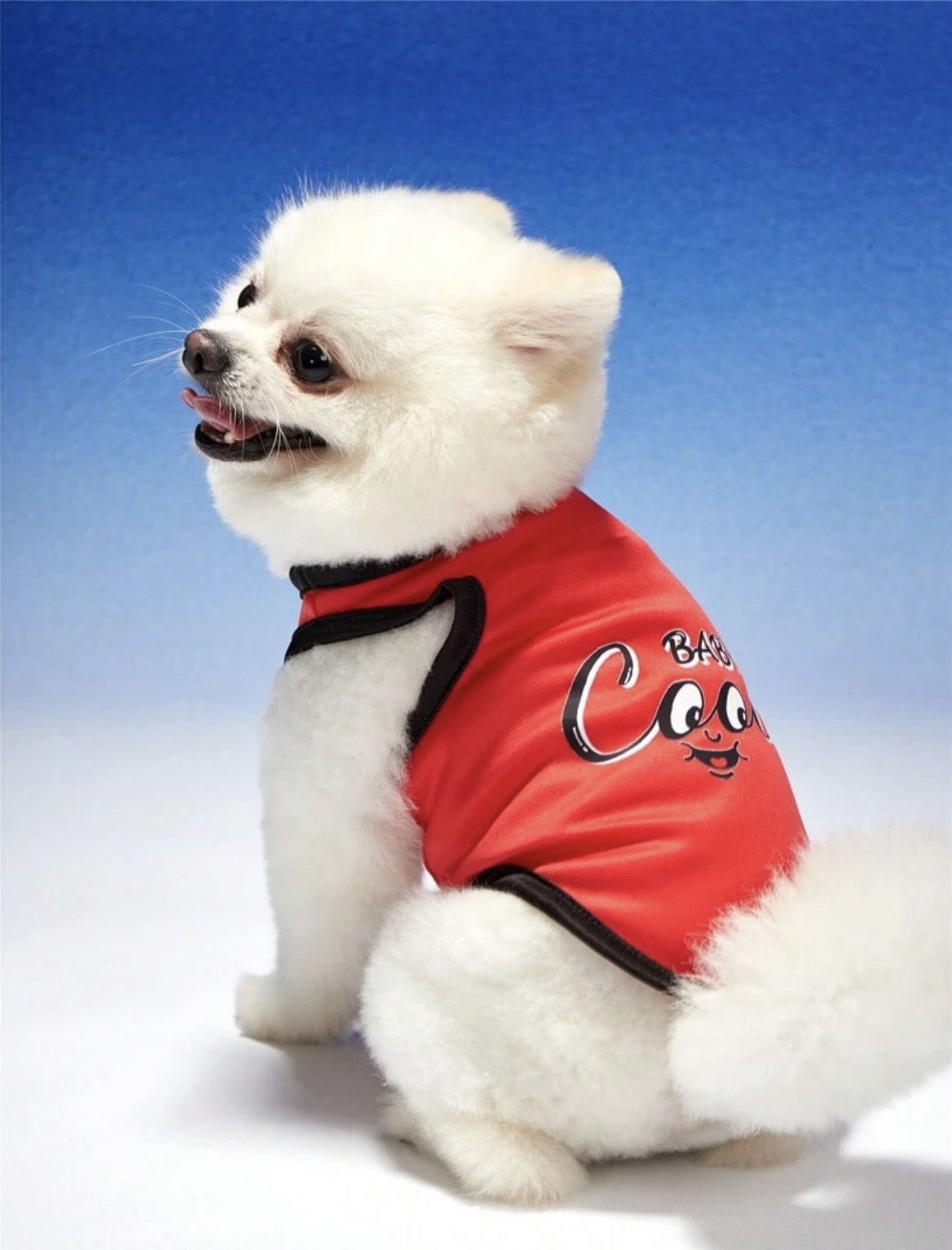 Camisetas para mascotas pequñas