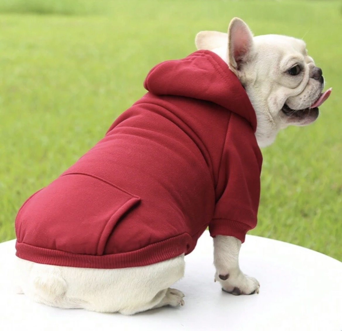 Sacos para mascotas pequeñas
